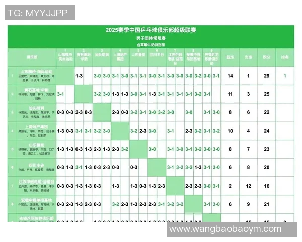 深圳乒乓球队以96分稳居大师赛积分榜首位展现强大实力 深圳乒乓球队以96分稳居大师赛积分榜首位展现强大实力