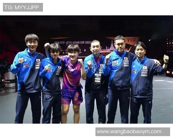 武汉乒乓球队的辉煌蜕变与奋斗历程深度解析