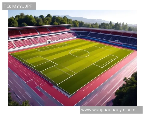 深入解析足球比赛规则助你成为场上高手的必备指南 深入解析足球比赛规则助你成为场上高手的必备指南